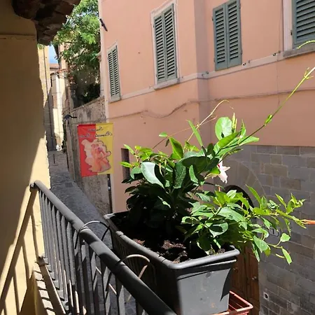 Apartman Il Terrazzino *